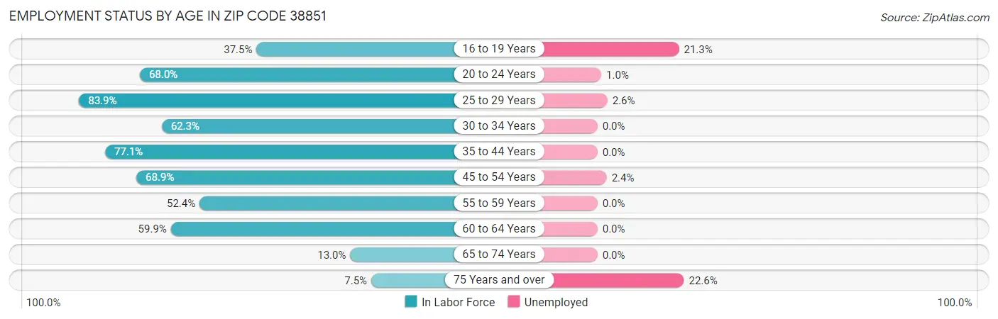 Employment Status by Age in Zip Code 38851