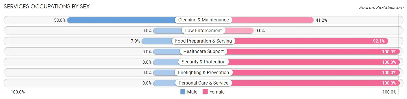 Services Occupations by Sex in Zip Code 38851