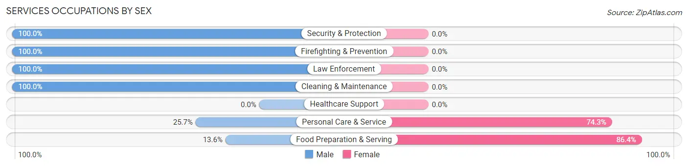Services Occupations by Sex in Zip Code 38852