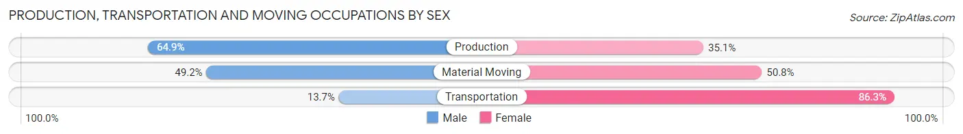 Production, Transportation and Moving Occupations by Sex in Zip Code 38865