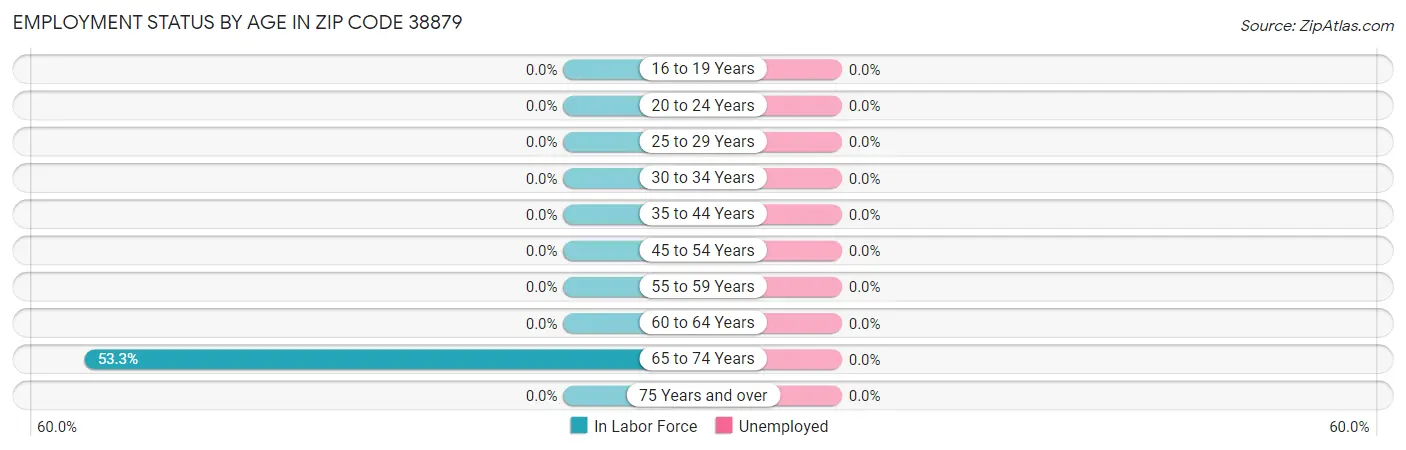 Employment Status by Age in Zip Code 38879