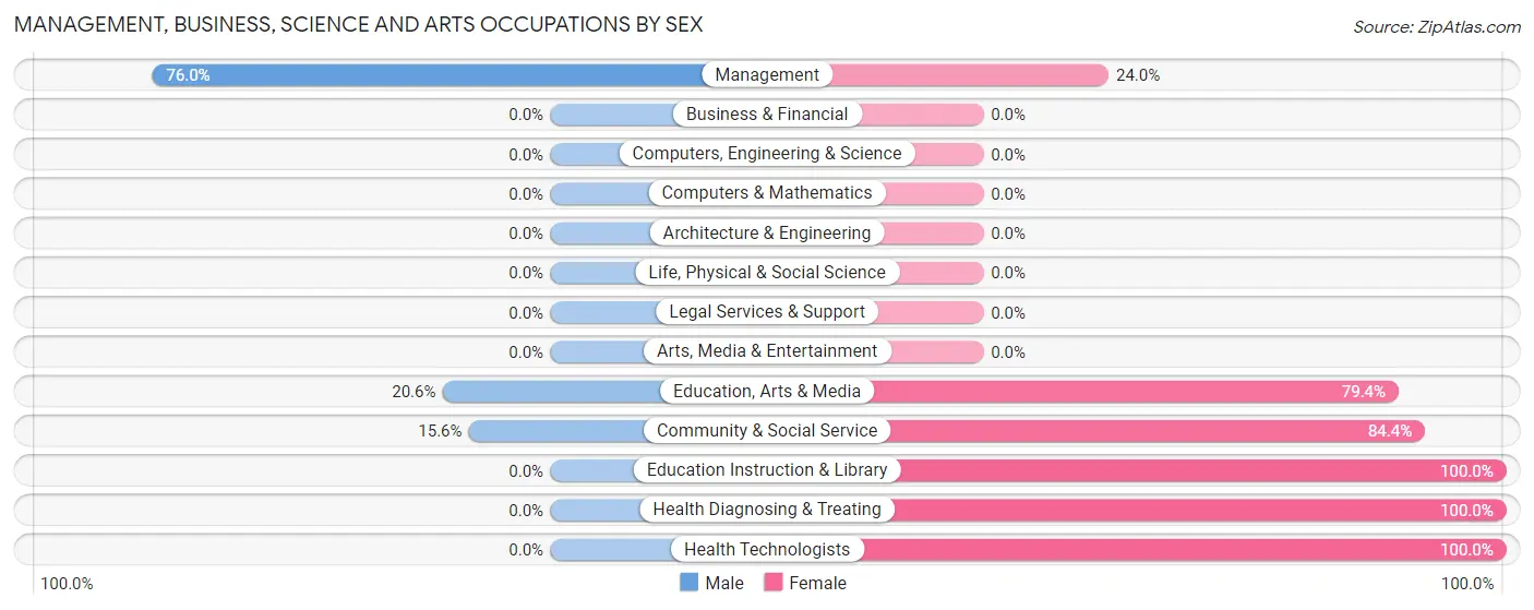 Management, Business, Science and Arts Occupations by Sex in Zip Code 38963