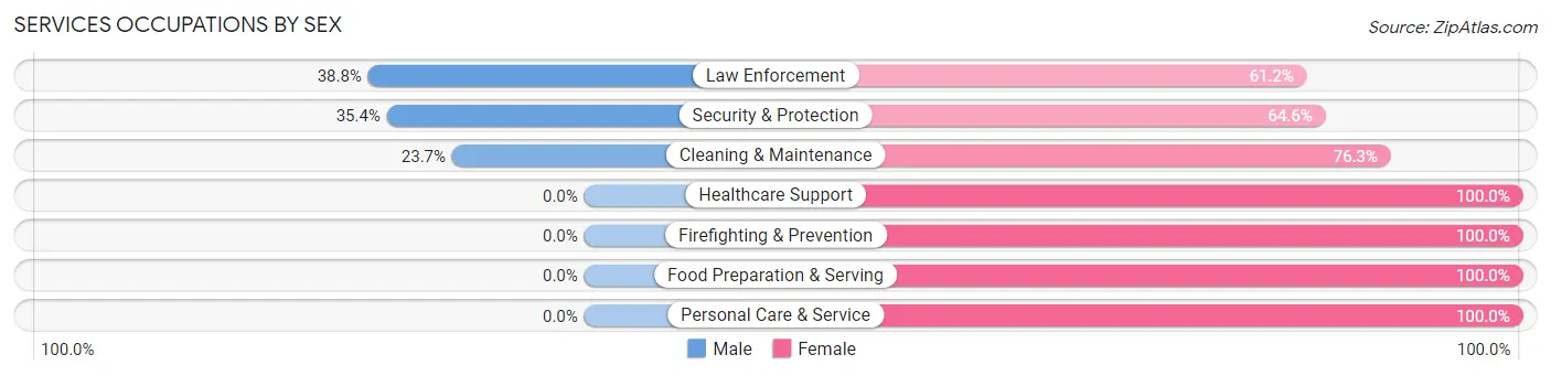 Services Occupations by Sex in Zip Code 38963