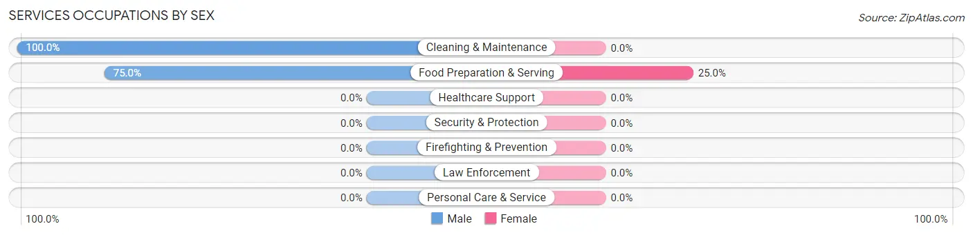 Services Occupations by Sex in Zip Code 39039
