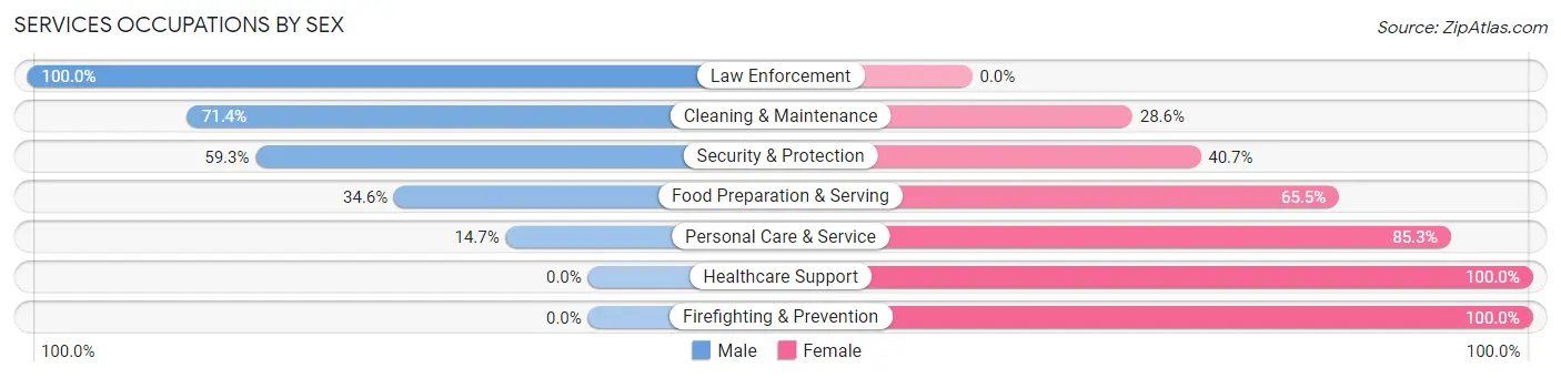Services Occupations by Sex in Zip Code 39096