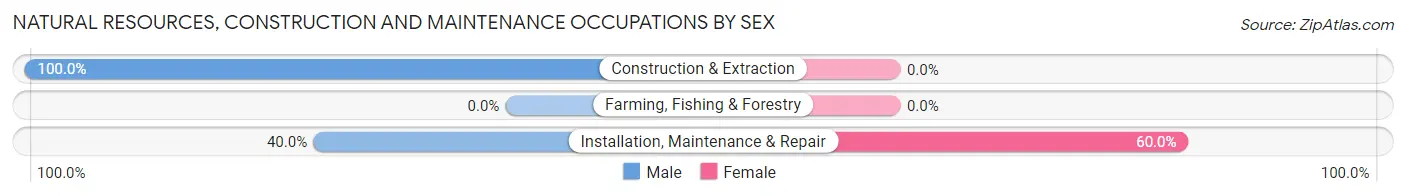 Natural Resources, Construction and Maintenance Occupations by Sex in Zip Code 39232