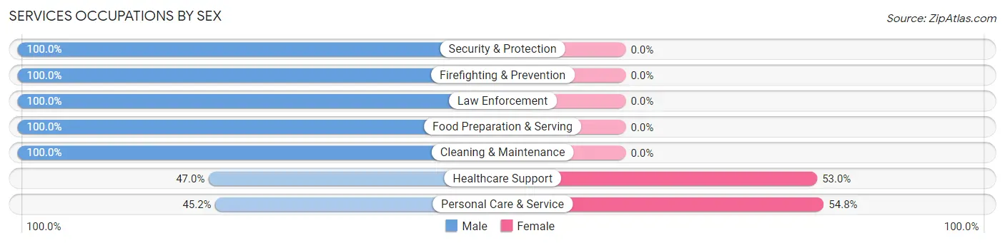Services Occupations by Sex in Zip Code 39325