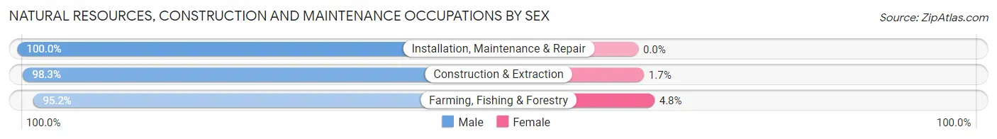 Natural Resources, Construction and Maintenance Occupations by Sex in Zip Code 39667