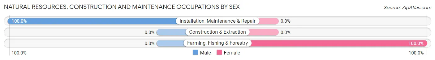 Natural Resources, Construction and Maintenance Occupations by Sex in Zip Code 39668