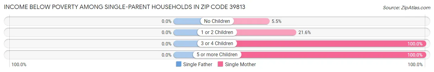Income Below Poverty Among Single-Parent Households in Zip Code 39813
