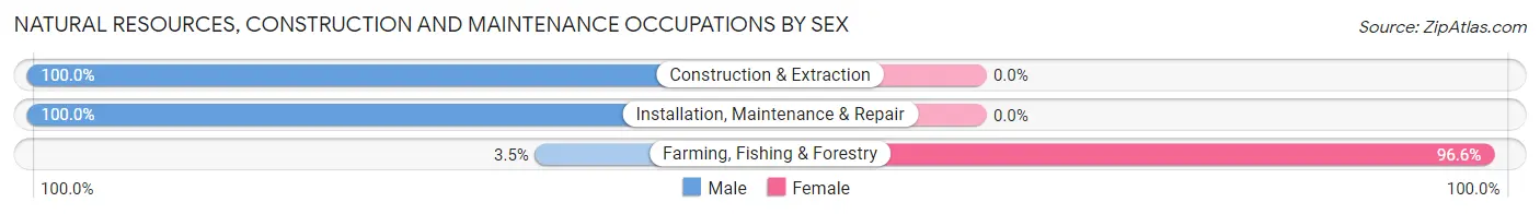 Natural Resources, Construction and Maintenance Occupations by Sex in Zip Code 39834