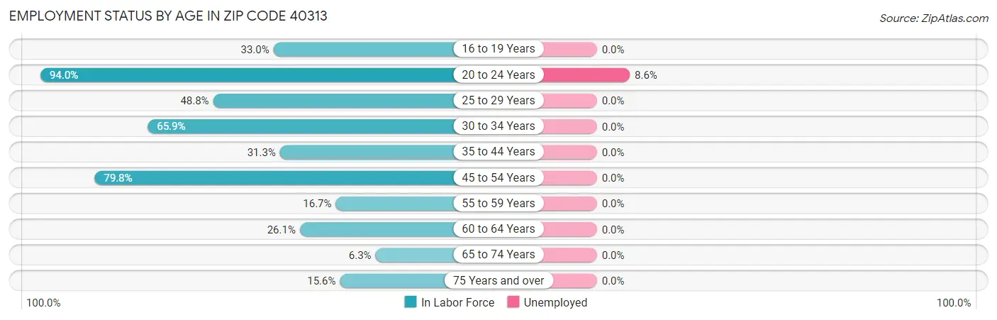 Employment Status by Age in Zip Code 40313