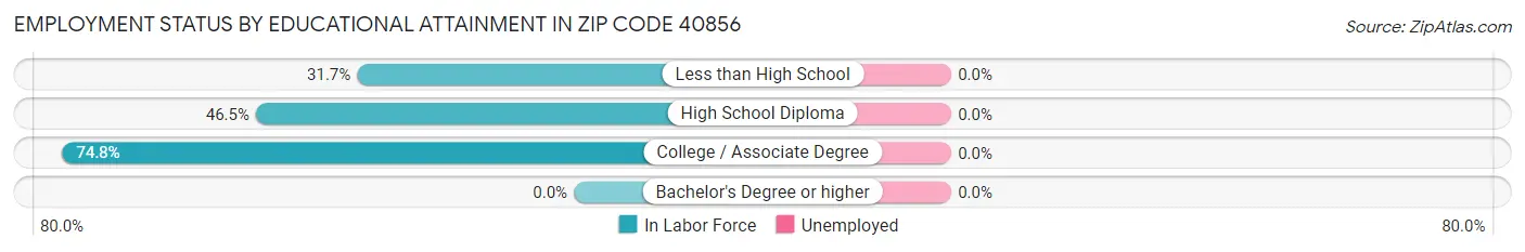 Employment Status by Educational Attainment in Zip Code 40856