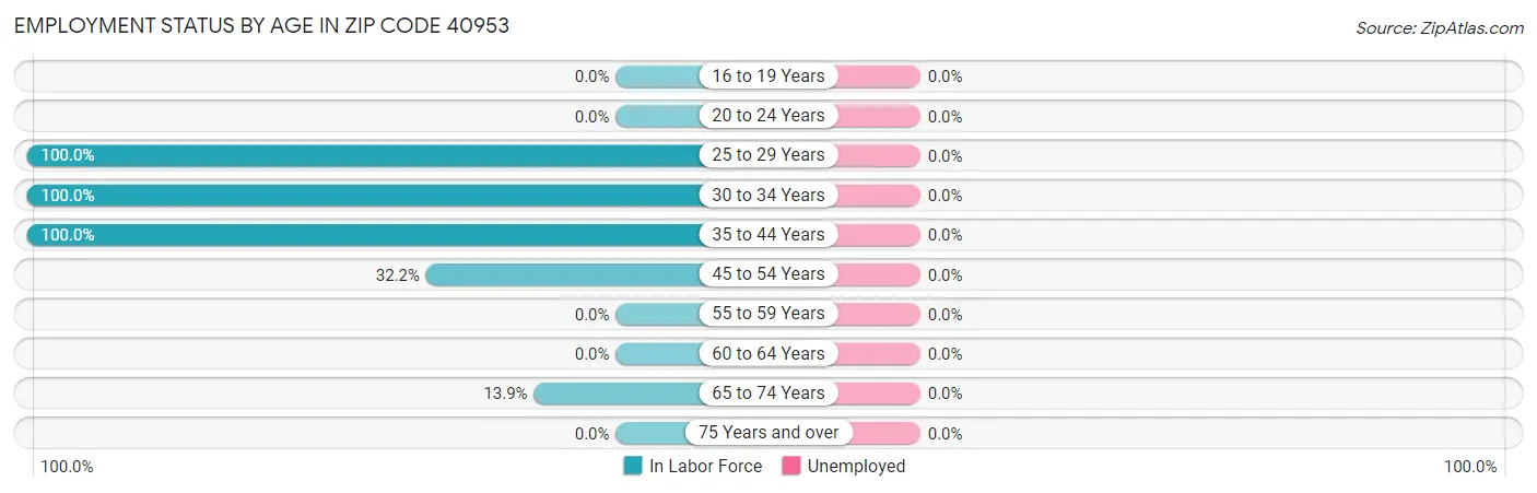 Employment Status by Age in Zip Code 40953