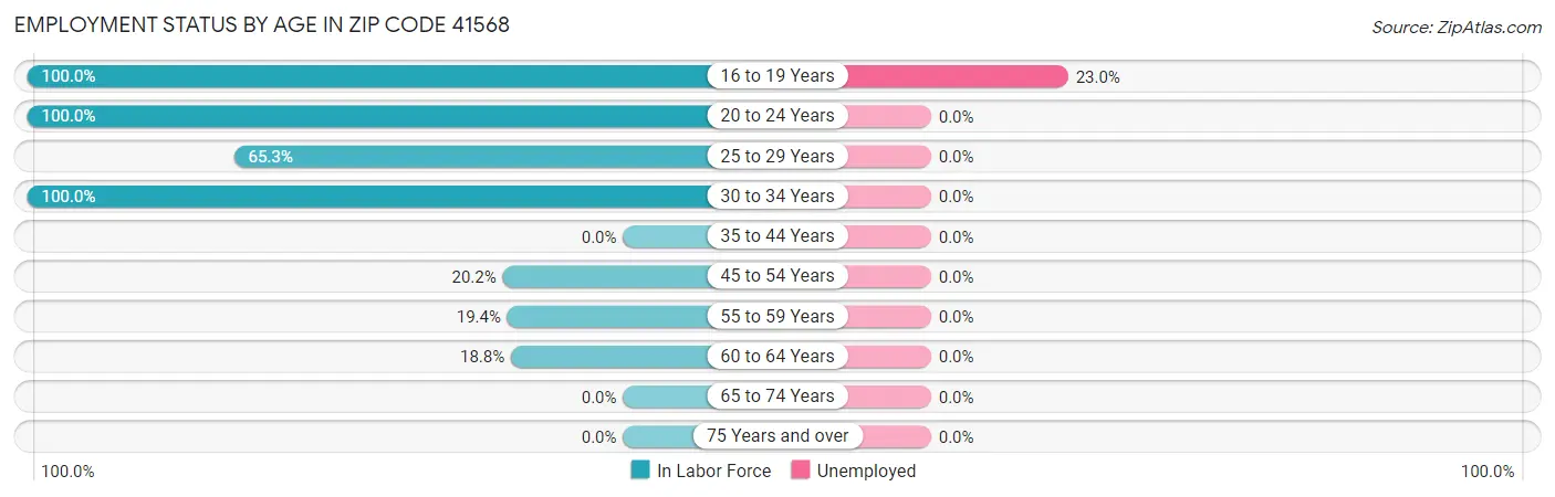Employment Status by Age in Zip Code 41568