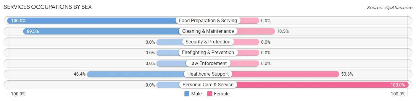 Services Occupations by Sex in Zip Code 42039