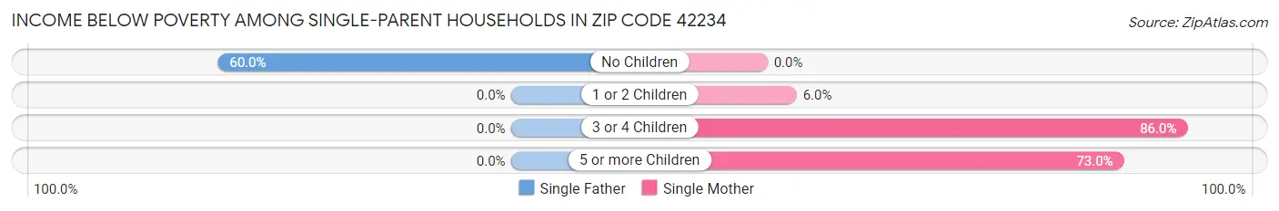 Income Below Poverty Among Single-Parent Households in Zip Code 42234