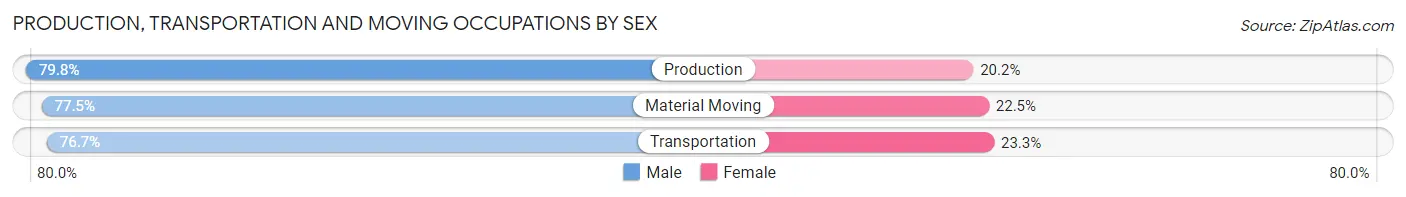 Production, Transportation and Moving Occupations by Sex in Zip Code 42431