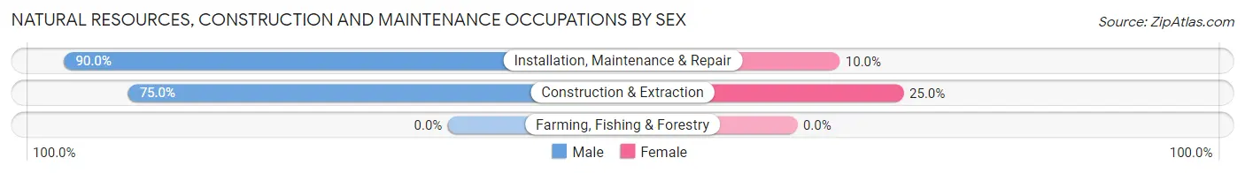 Natural Resources, Construction and Maintenance Occupations by Sex in Zip Code 43016