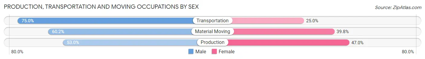 Production, Transportation and Moving Occupations by Sex in Zip Code 43080
