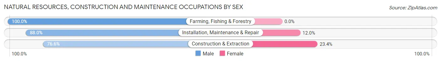 Natural Resources, Construction and Maintenance Occupations by Sex in Zip Code 43128