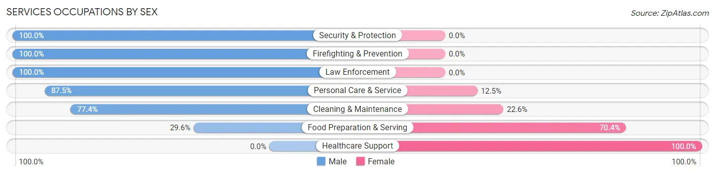 Services Occupations by Sex in Zip Code 43148