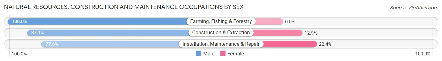 Natural Resources, Construction and Maintenance Occupations by Sex in Zip Code 43206