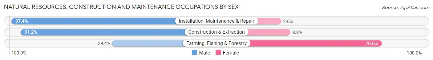 Natural Resources, Construction and Maintenance Occupations by Sex in Zip Code 43224