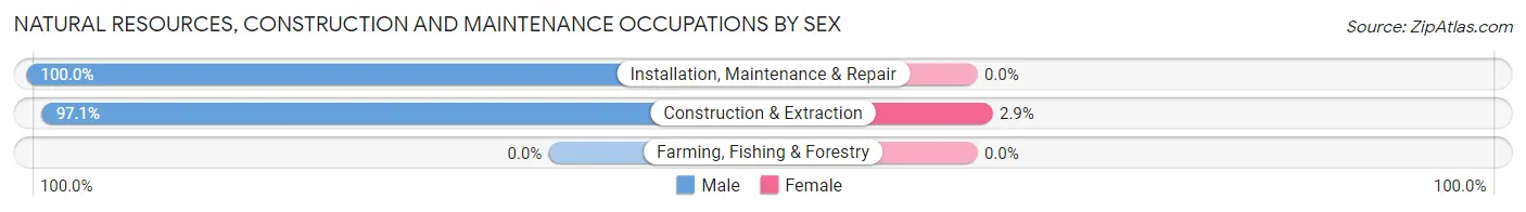 Natural Resources, Construction and Maintenance Occupations by Sex in Zip Code 43447