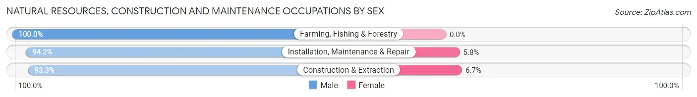 Natural Resources, Construction and Maintenance Occupations by Sex in Zip Code 43506