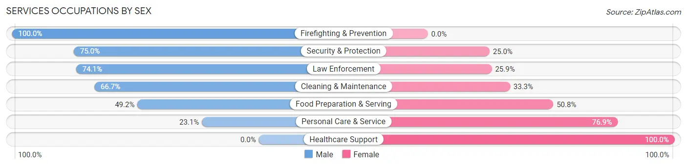 Services Occupations by Sex in Zip Code 43569