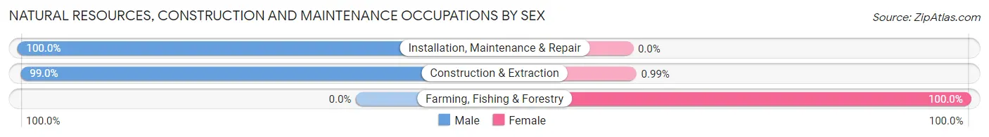 Natural Resources, Construction and Maintenance Occupations by Sex in Zip Code 43716