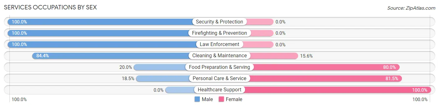 Services Occupations by Sex in Zip Code 43917