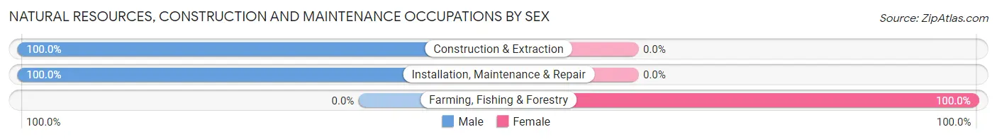 Natural Resources, Construction and Maintenance Occupations by Sex in Zip Code 43939
