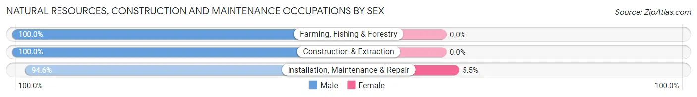 Natural Resources, Construction and Maintenance Occupations by Sex in Zip Code 44410