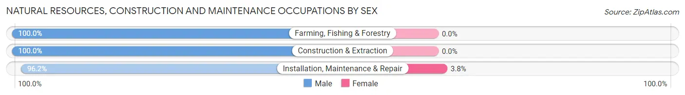 Natural Resources, Construction and Maintenance Occupations by Sex in Zip Code 44685
