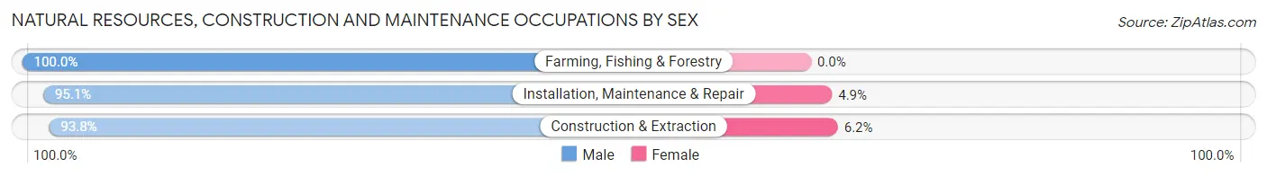 Natural Resources, Construction and Maintenance Occupations by Sex in Zip Code 44857