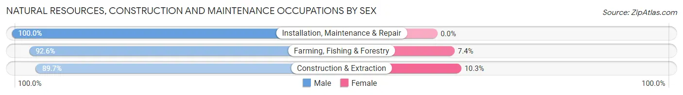 Natural Resources, Construction and Maintenance Occupations by Sex in Zip Code 44890