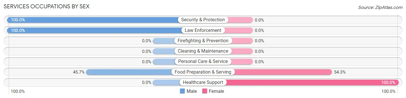 Services Occupations by Sex in Zip Code 45032