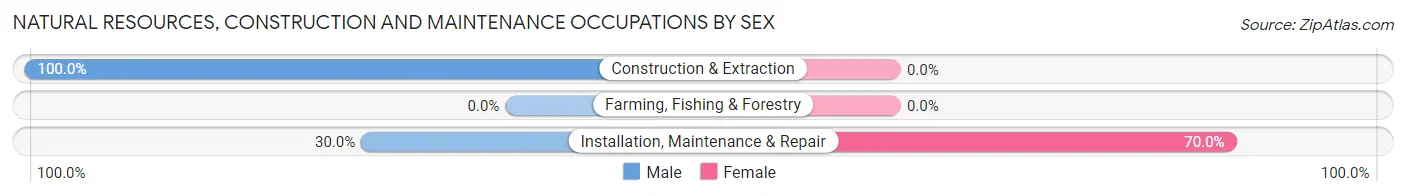 Natural Resources, Construction and Maintenance Occupations by Sex in Zip Code 45225