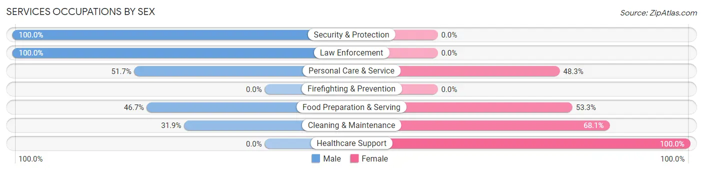 Services Occupations by Sex in Zip Code 45345