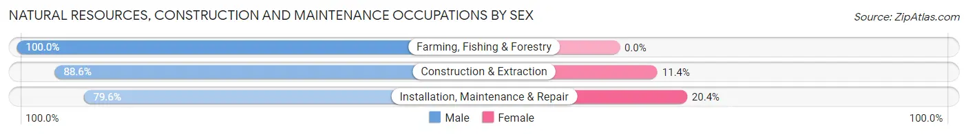 Natural Resources, Construction and Maintenance Occupations by Sex in Zip Code 45417