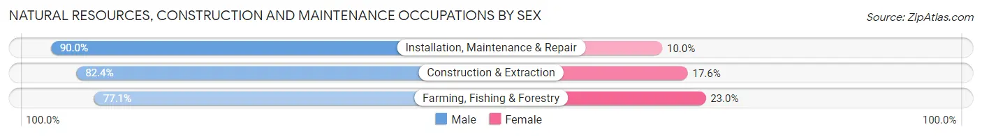 Natural Resources, Construction and Maintenance Occupations by Sex in Zip Code 45601