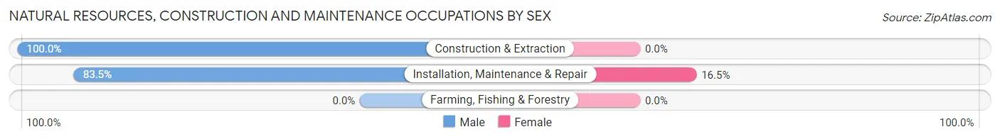 Natural Resources, Construction and Maintenance Occupations by Sex in Zip Code 45628