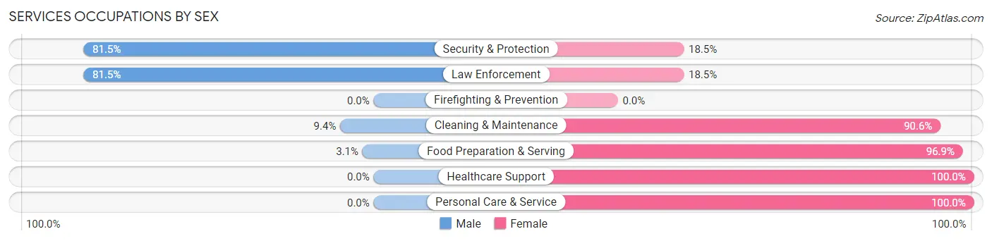 Services Occupations by Sex in Zip Code 45681