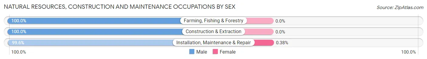 Natural Resources, Construction and Maintenance Occupations by Sex in Zip Code 45805