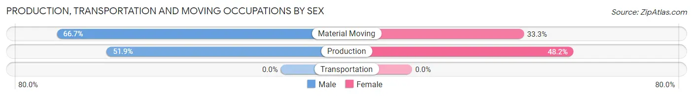 Production, Transportation and Moving Occupations by Sex in Zip Code 45816