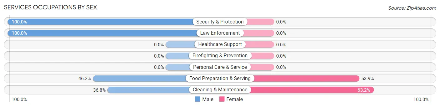 Services Occupations by Sex in Zip Code 45859