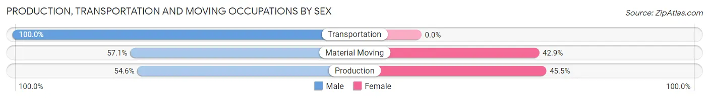 Production, Transportation and Moving Occupations by Sex in Zip Code 45876
