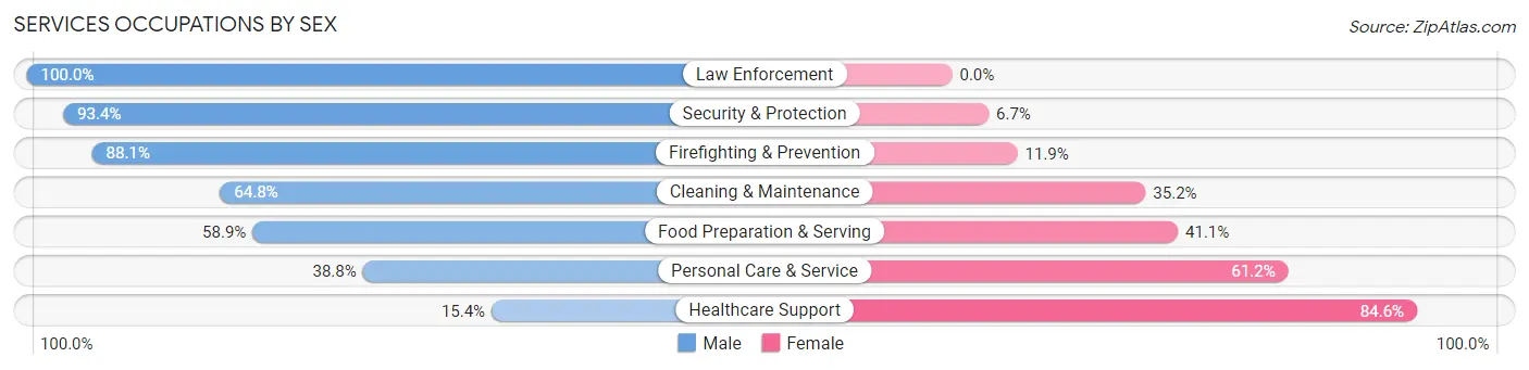 Services Occupations by Sex in Zip Code 46032